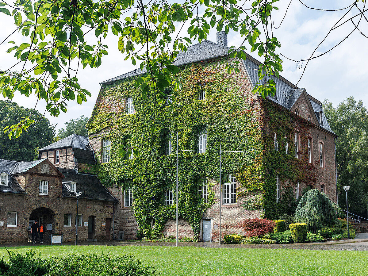 Hinter dem Geäst einer Baumkrone: Ein herrschaftliches Gebäude mit Pflanzen an den Wänden, rechts schließt sich ein kleiner Torbogen an.